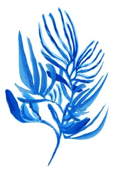 Tropical Blue Foliage