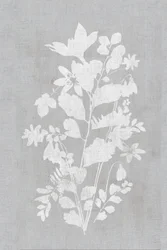 White Floral Silhouette