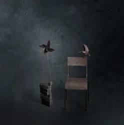 Dark Bird Empty Chair