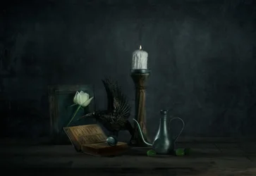 Gothic Rose and Crow