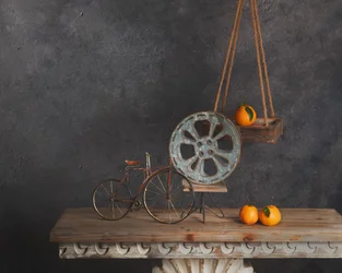 Rustic Bicycle Still Life