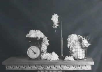 Vintage Cotton Still Life