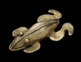 Figure of a Poisonous Frog