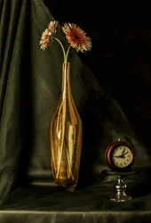 Golden Gerbera Still Life