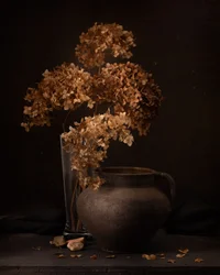 Rustic Dried Flowers Still Life