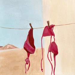 Desert Bikinis