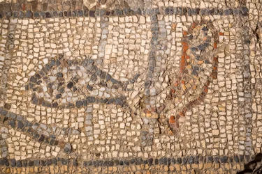 Mosaic of Timothy